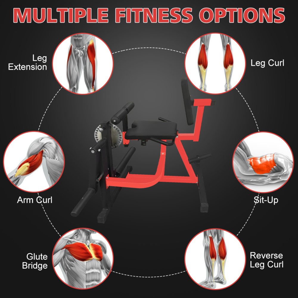Machine d'extension et de flex - Home Gym Leg Extension Machine avis et prix