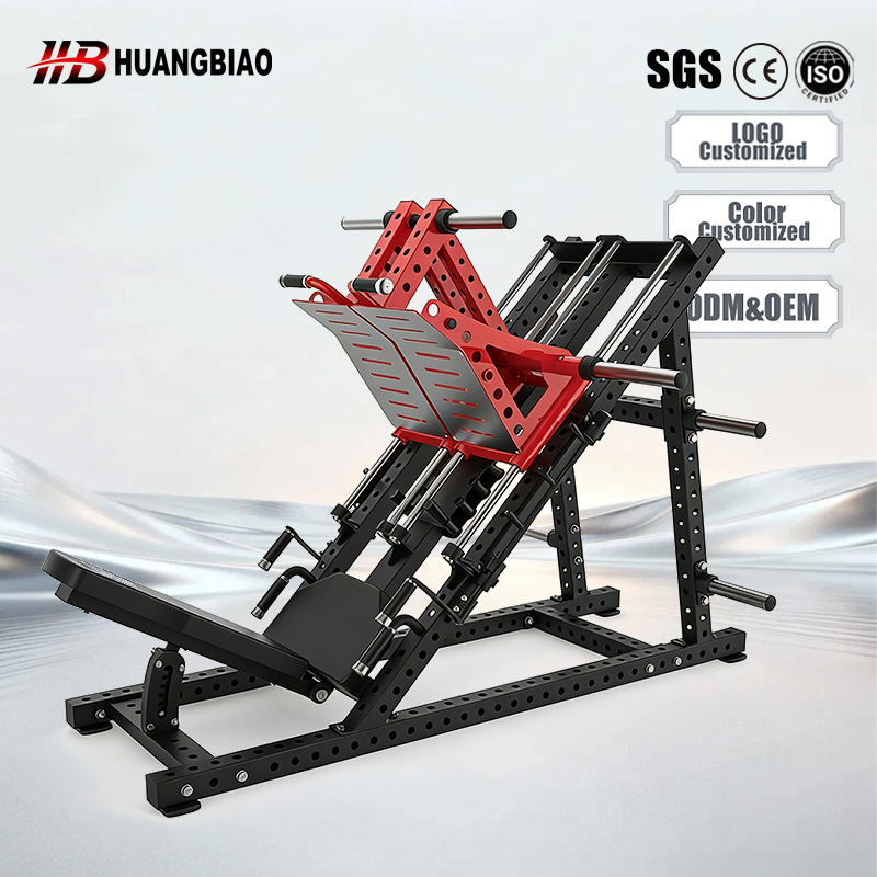 Machine d'extension des jambes - Home Gym Leg Extension Machine avis et prix