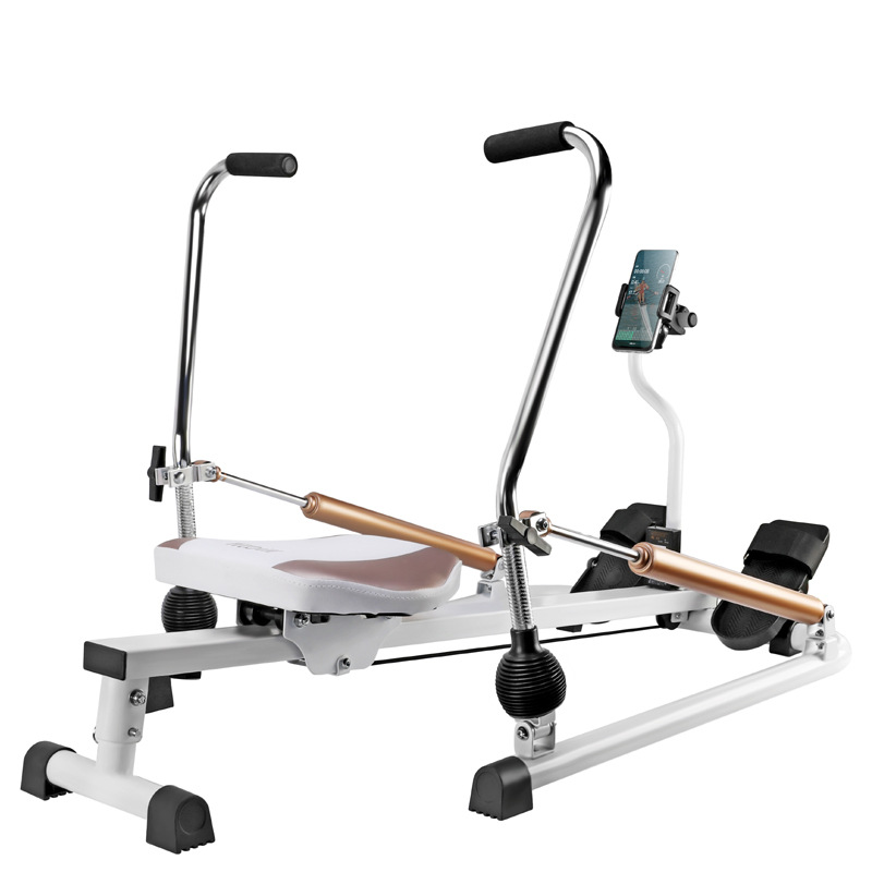 Rameur magnétique silencieux e - Home Gym In Apartment avis et prix