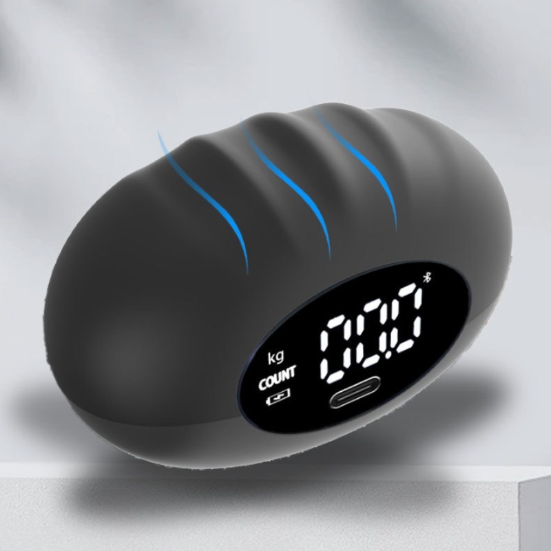 Dynamomètre numérique ergonomi - Home Gym Garden avis et prix