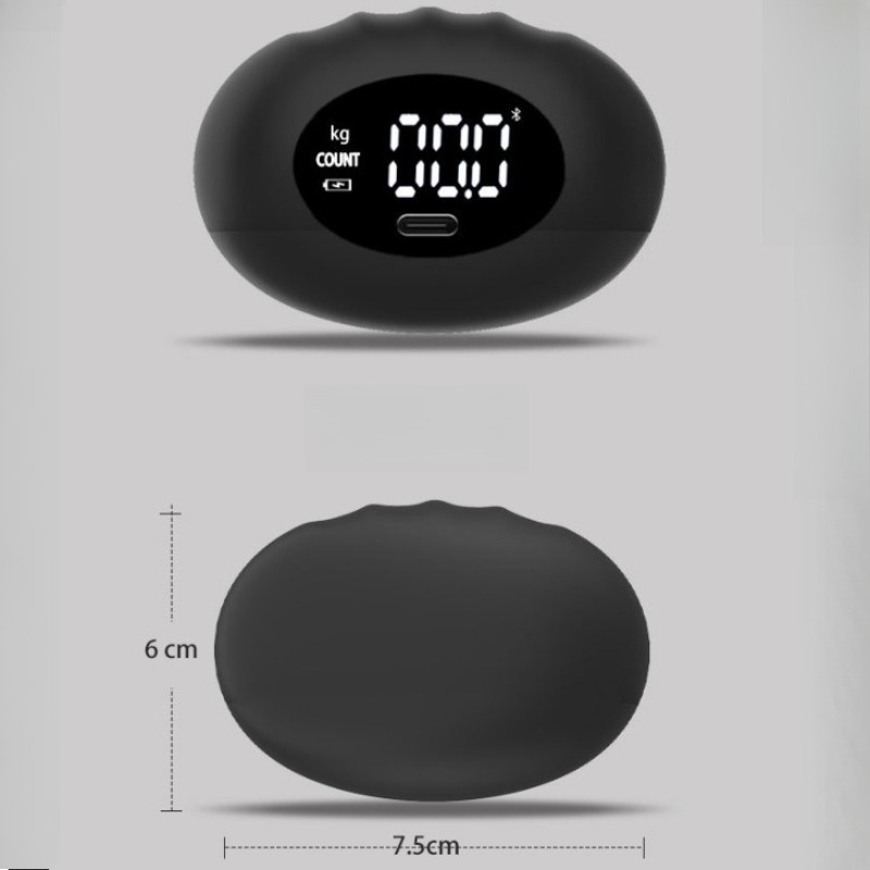 Dynamomètre numérique ergonomi - Home Gym Garden avis et prix